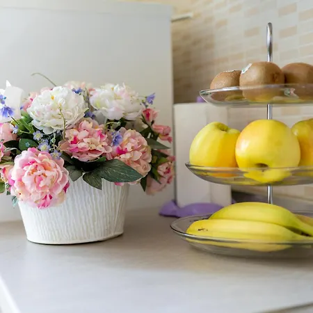 Solo A アパート *